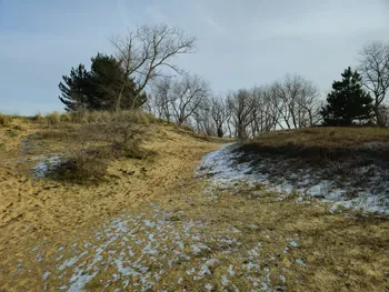 Oostnieuwkerke duinen wandeling in de koude (België)